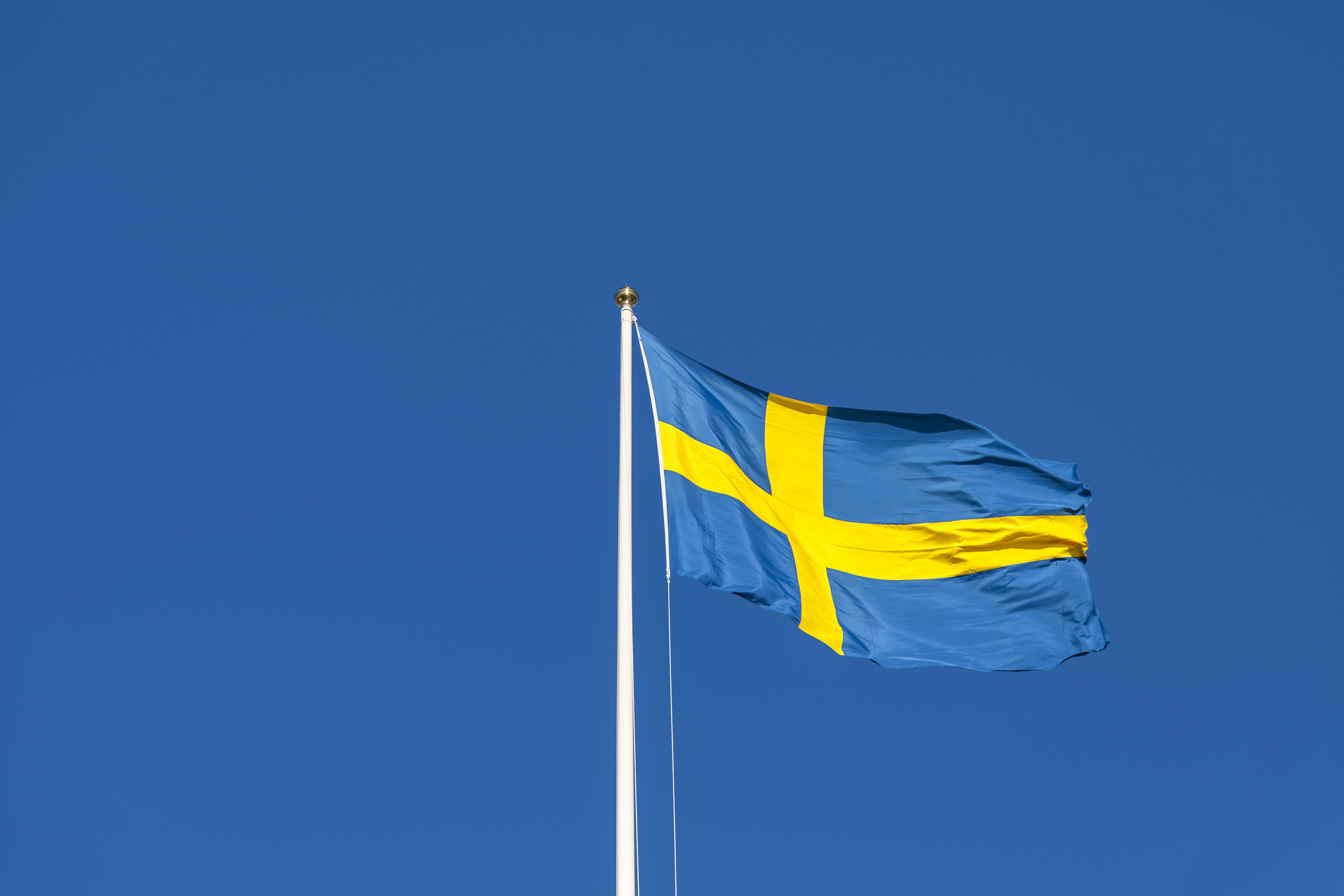 Svenska flaggan