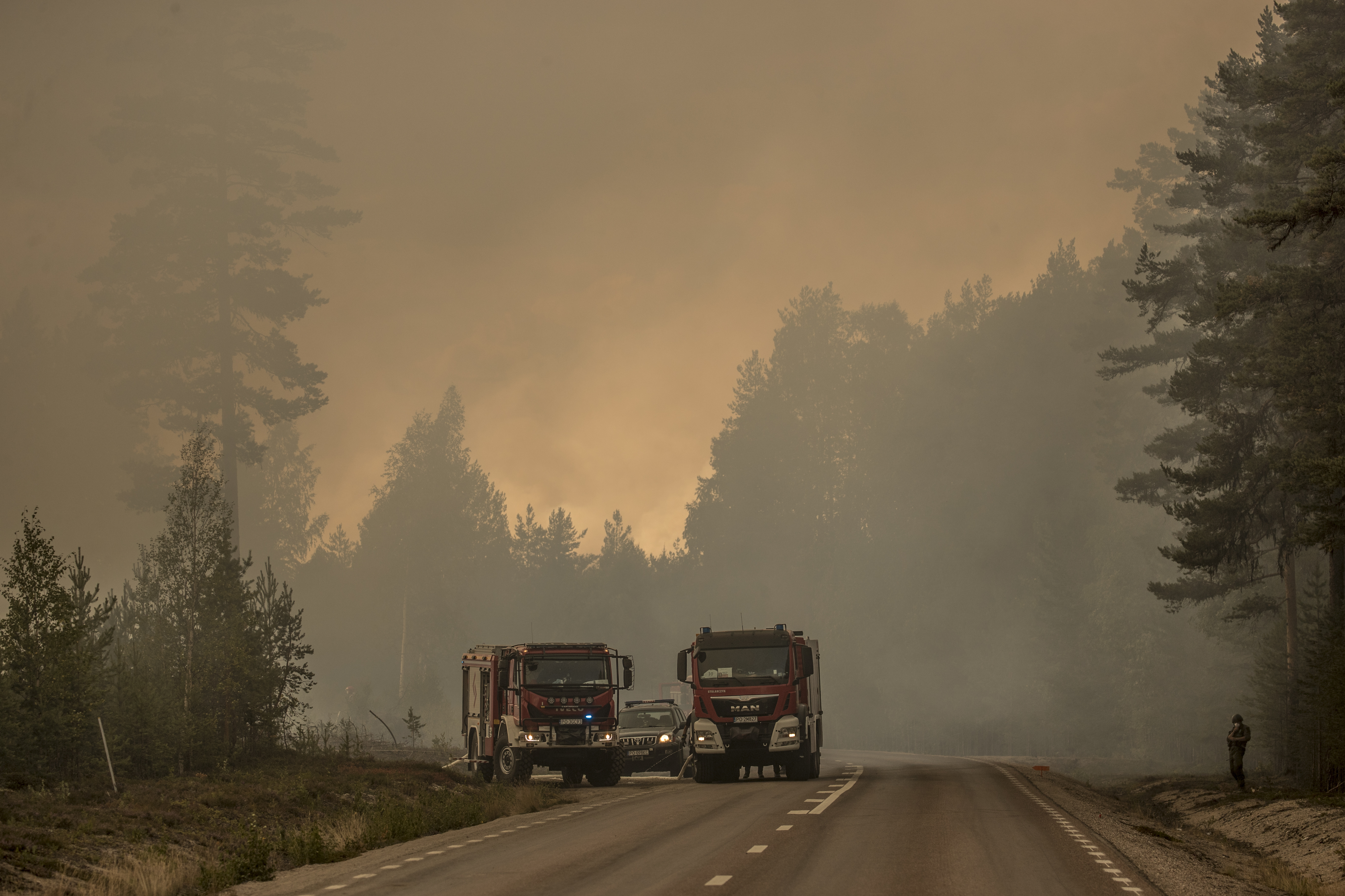 Brandbilar parkerade på en väg intill en skogsbrand