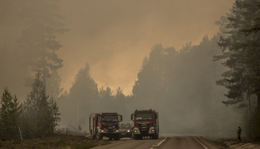 Brandbilar parkerade på en väg intill en skogsbrand