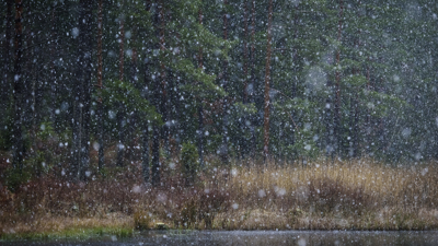 Snöfall över skogstjärn