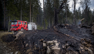 Skogsbrand i Småland