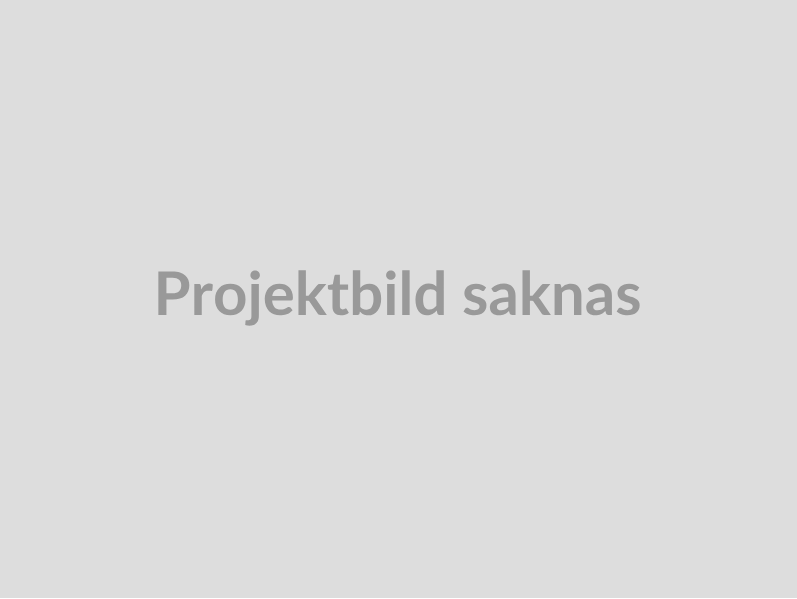 Projektbild saknas